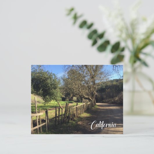 Carte Postale Vue de clôture Rancho (Debout devant)