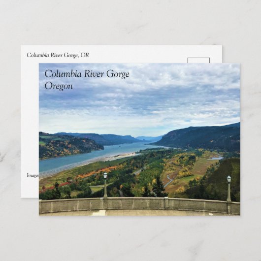 Carte Postale Vue de Columbia River, Columbia River Gorge, OU P (Devant / Derrière)