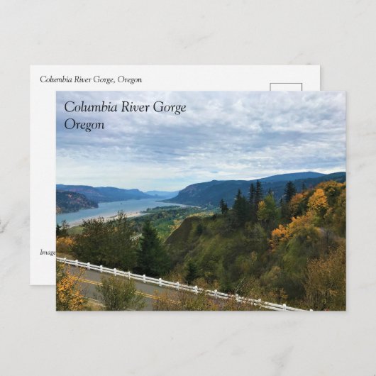 Carte Postale Vue de Columbia River, Columbia River Gorge, OU P (Devant / Derrière)