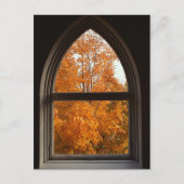 Carte Postale Vue de feuillage d'automne (Devant)