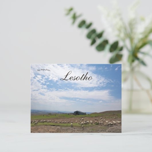 Carte Postale Vue de la campagne au Lesotho (Debout devant)