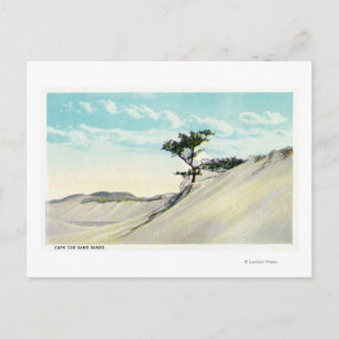 Carte Postale Vue de la Dorothy Bradford Steamer