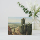 Carte Postale Vue de la montagne Maricopa près de Rio Gila par P (Debout devant)