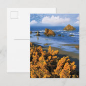 Carte Postale Vue de la plage de l'Oregon à Bandon (Devant / Derrière)