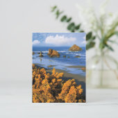 Carte Postale Vue de la plage de l'Oregon à Bandon (Debout devant)
