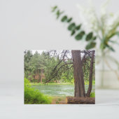 Carte Postale Vue de la rivière Deschutes (Debout devant)