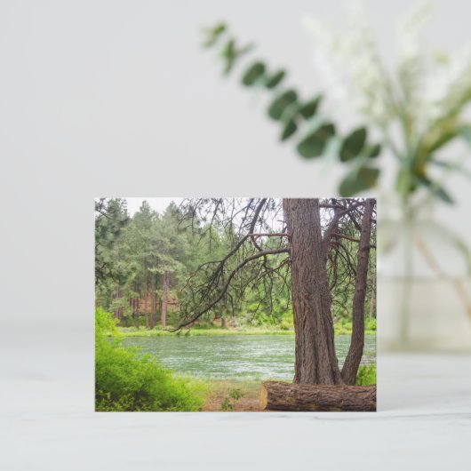 Carte Postale Vue de la rivière Deschutes (Debout devant)