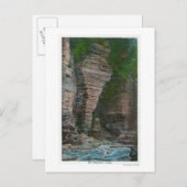 Carte Postale Vue de la tête d'éléphant (Devant / Derrière)