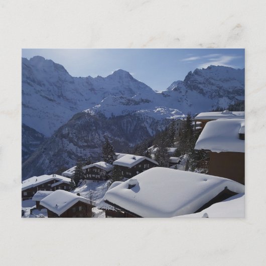 Carte Postale Vue de la trilogie Eiger, Mönch et Jungfrau de Mür (Devant)