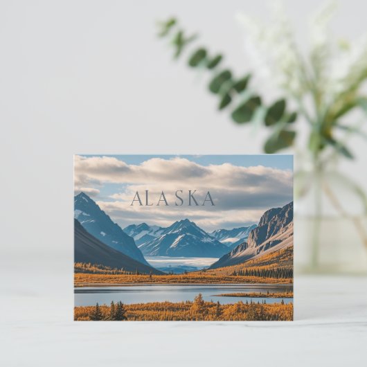 Carte Postale vue de l'alaska (Debout devant)
