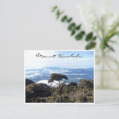 Carte Postale vue de l'arbre kinabalu (Debout devant)