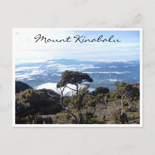 Carte Postale vue de l'arbre kinabalu (Devant)