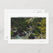 Carte Postale Vue de l'entrée de la grotte des âmes perdues (Devant / Derrière)