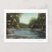 Carte Postale Vue de l'étang de grenouille commune de Boston # 2 (Devant)