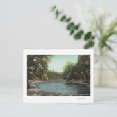 Carte Postale Vue de l'étang de grenouille commune de Boston # 2 (Debout devant)