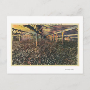 Carte Postale Vue de l'intérieur de la Co de déshydratation JR S