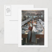 Carte Postale Vue de l'intérieur des travailleurs de la cannerie (Devant / Derrière)