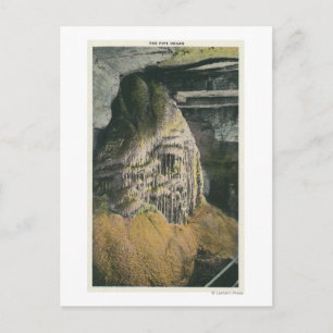 Carte Postale Vue de l'orgue du tuyau