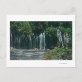 Carte Postale Vue de Mossbrae FallsShasta Springs, CA (Devant)