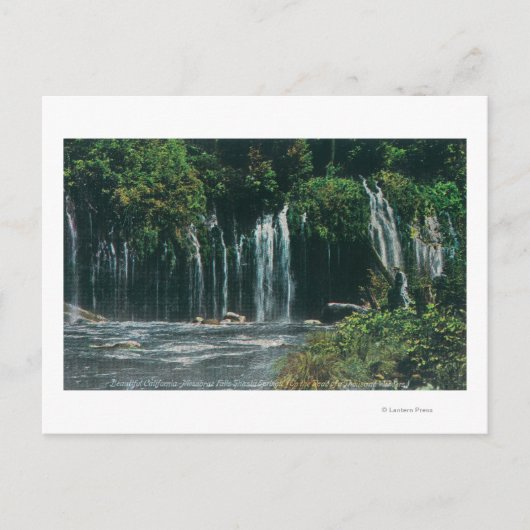 Carte Postale Vue de Mossbrae FallsShasta Springs, CA (Devant)
