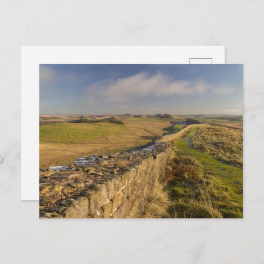 Carte Postale Vue de Norhumberland depuis le mur d'Hadrien (Devant / Derrière)
