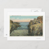 Carte Postale Vue de Pebble Cove (Devant / Derrière)