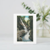 Carte Postale Vue de Rainbow Falls (Debout devant)