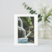 Carte Postale Vue de Rainbow Falls (Debout devant)