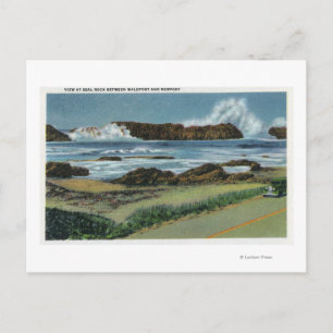 Carte Postale Vue de Seal Rock entre Waldport et