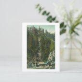 Carte Postale Vue de Shasta King MineKennett, CA (Debout devant)