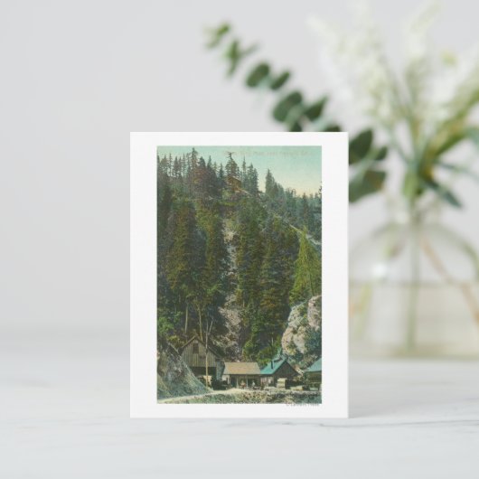 Carte Postale Vue de Shasta King MineKennett, CA (Debout devant)