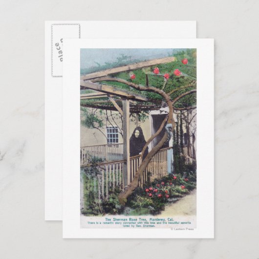 Carte Postale Vue de Sherman Rose TreeMonterey, CA (Devant / Derrière)