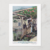 Carte Postale Vue de Sherman Rose TreeMonterey, CA (Devant)