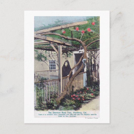 Carte Postale Vue de Sherman Rose TreeMonterey, CA (Devant)