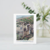 Carte Postale Vue de Sherman Rose TreeMonterey, CA (Debout devant)