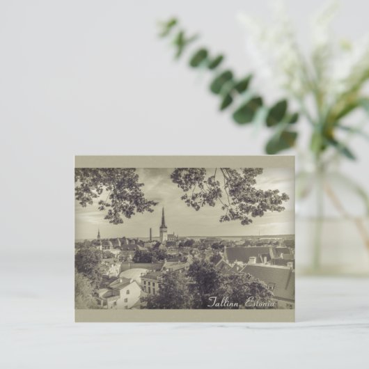 Carte Postale Vue de Tallinn depuis Toompea CC0210 (Debout devant)