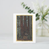 Carte Postale Vue de "Trois Graces" sur Big Trees Park (Debout devant)