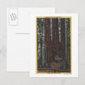 Carte Postale Vue de "Trois Graces" sur Big Trees Park (Devant / Derrière)