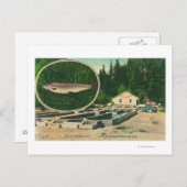 Carte Postale Vue de Trout Haven HatcheryGasquet, CA (Devant / Derrière)