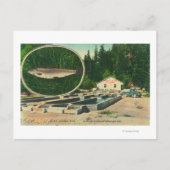 Carte Postale Vue de Trout Haven HatcheryGasquet, CA (Devant)