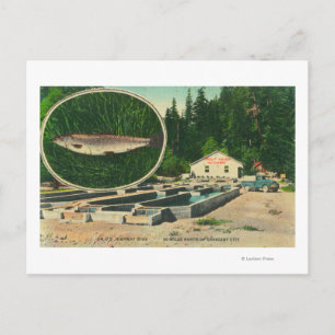 Carte Postale Vue de Trout Haven HatcheryGasquet, CA