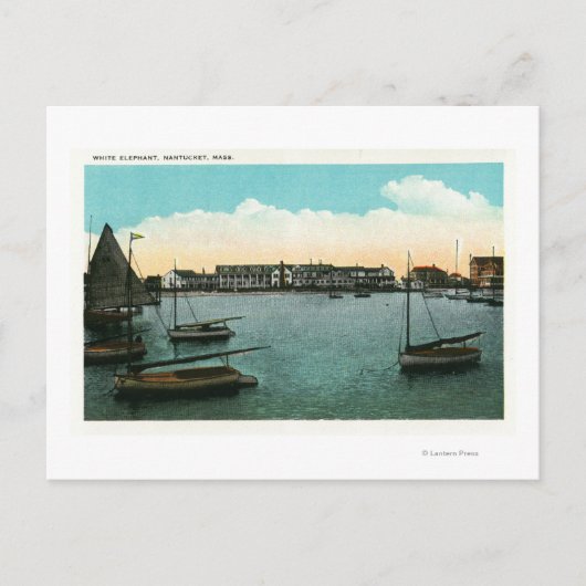 Carte Postale Vue de White Elephant (Devant)