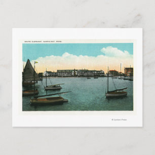 Carte Postale Vue de White Elephant