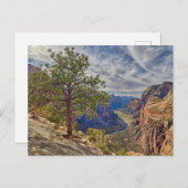 Carte Postale Vue de Zion Canyon depuis Angels Landing (Devant / Derrière)
