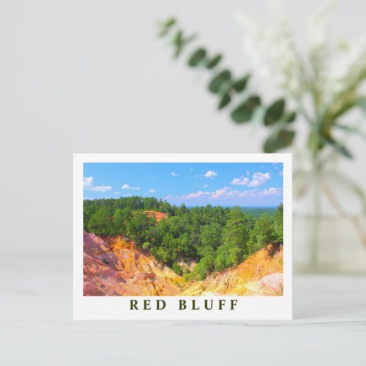 Carte Postale Vue d'ensemble du paysage Red Bluff - Scènes du Mi (Debout devant)
