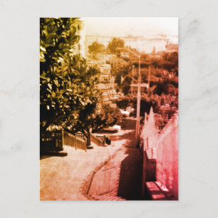 Carte Postale Vue d'ensemble du quartier vintage d'Alger en Algé
