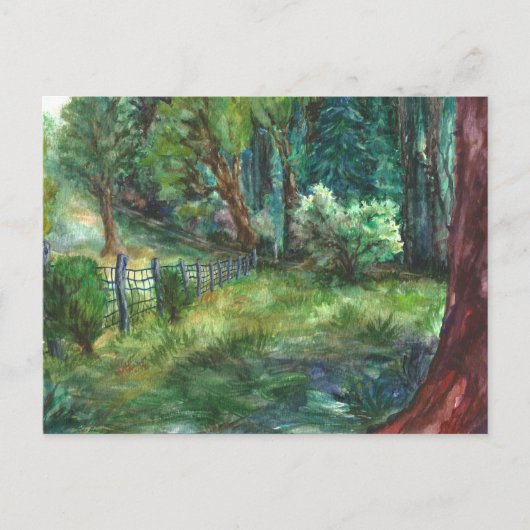 Carte postale "Vue depuis le chalet." (Devant)