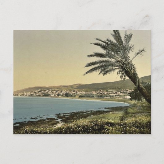 Carte Postale Vue depuis le pied du Mont Carmel, Chaifa, (i.e. (Devant)