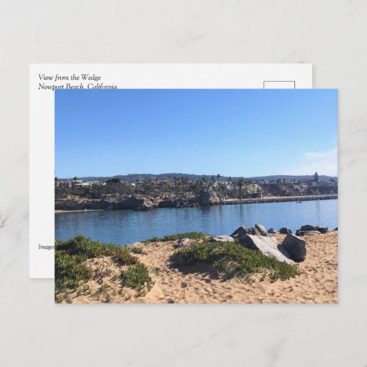 Carte Postale Vue depuis le Wedge, Newport Beach, Californie (Devant / Derrière)