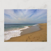 Carte Postale Vue depuis le Wedge, Newport Beach, Californie (Devant)